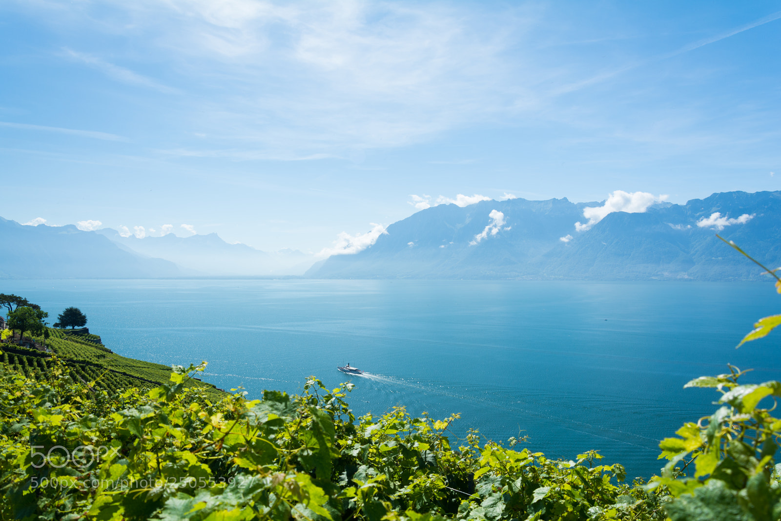Nikon D7100 sample photo. Lavaux, switzerland photography