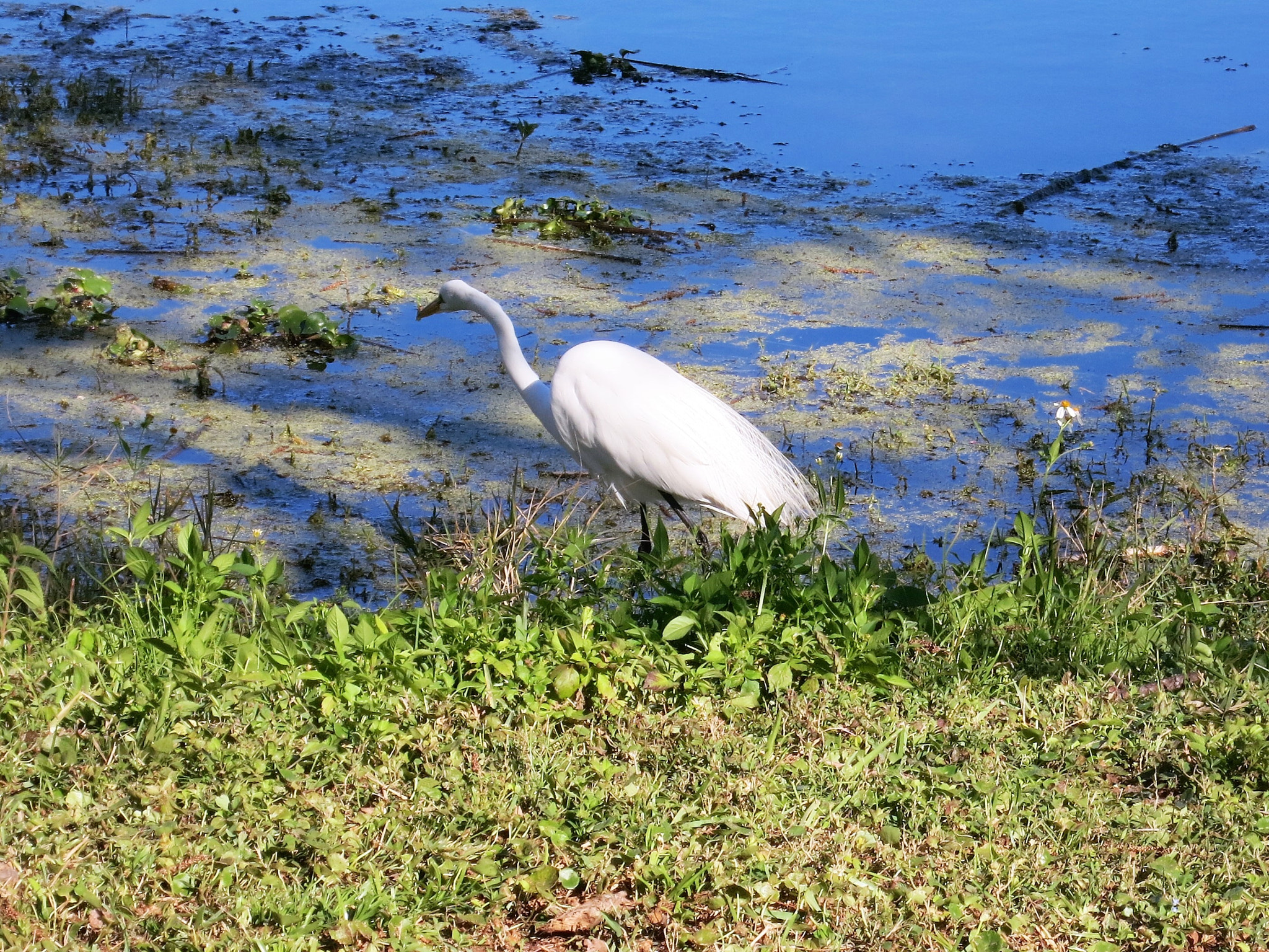 Canon PowerShot S110 sample photo. () photography