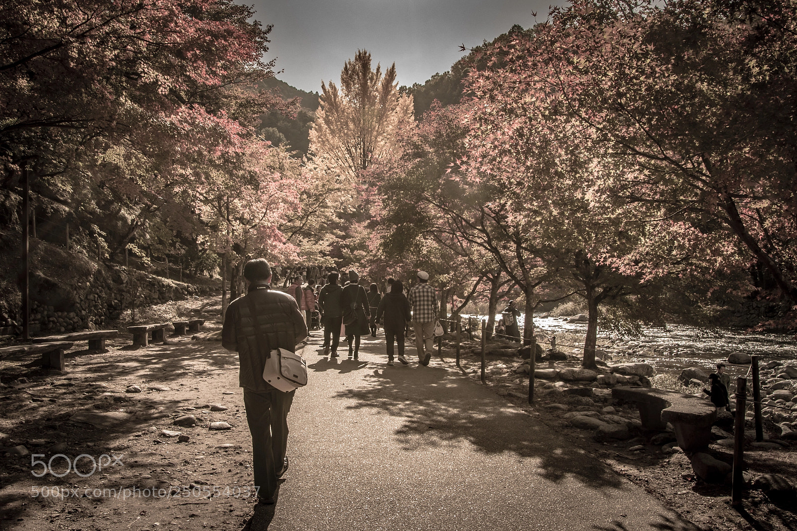 Canon EOS 70D sample photo. Korankei photography