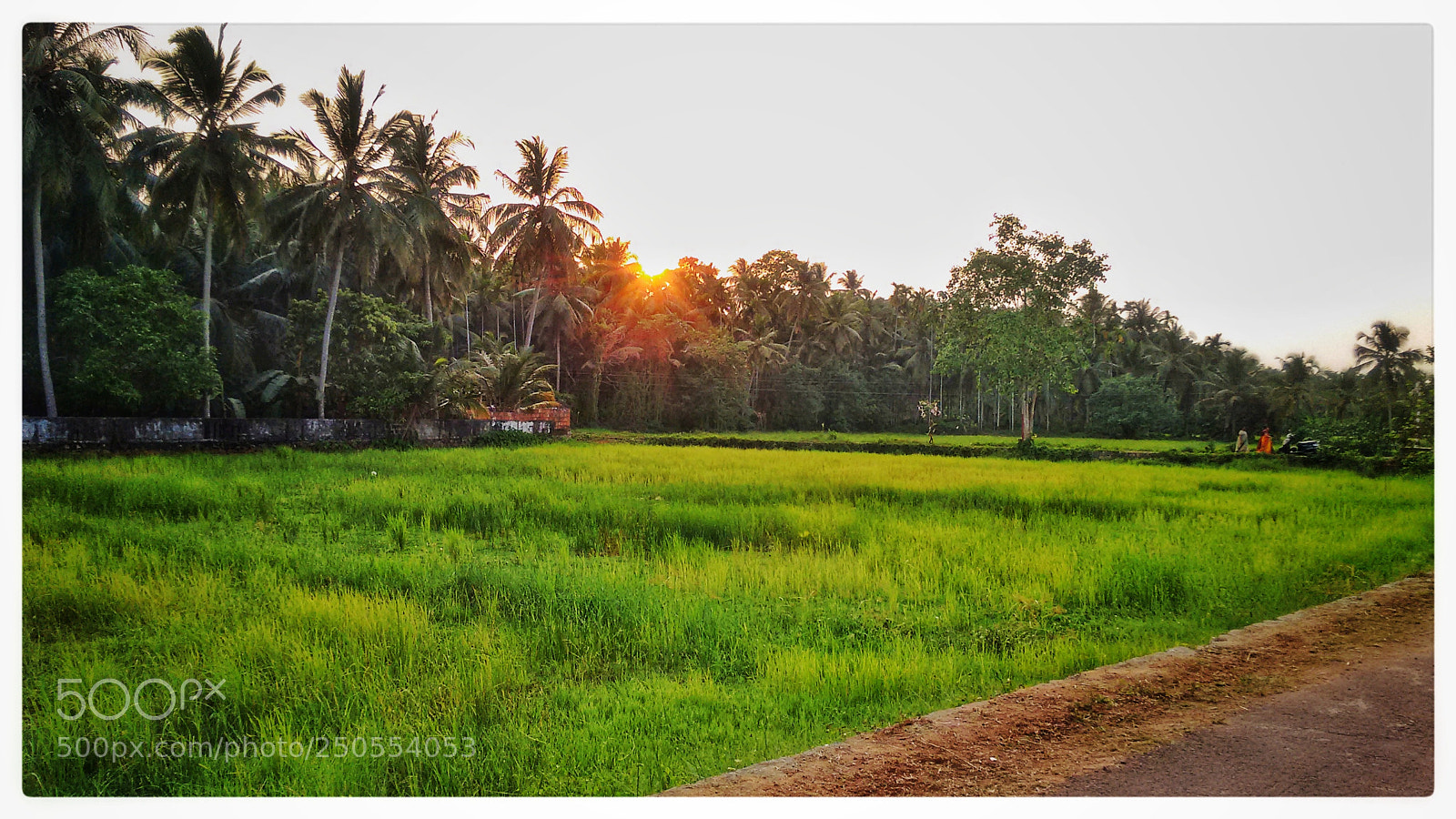 Motorola Moto G (2nd Gen) sample photo. Untitled photography