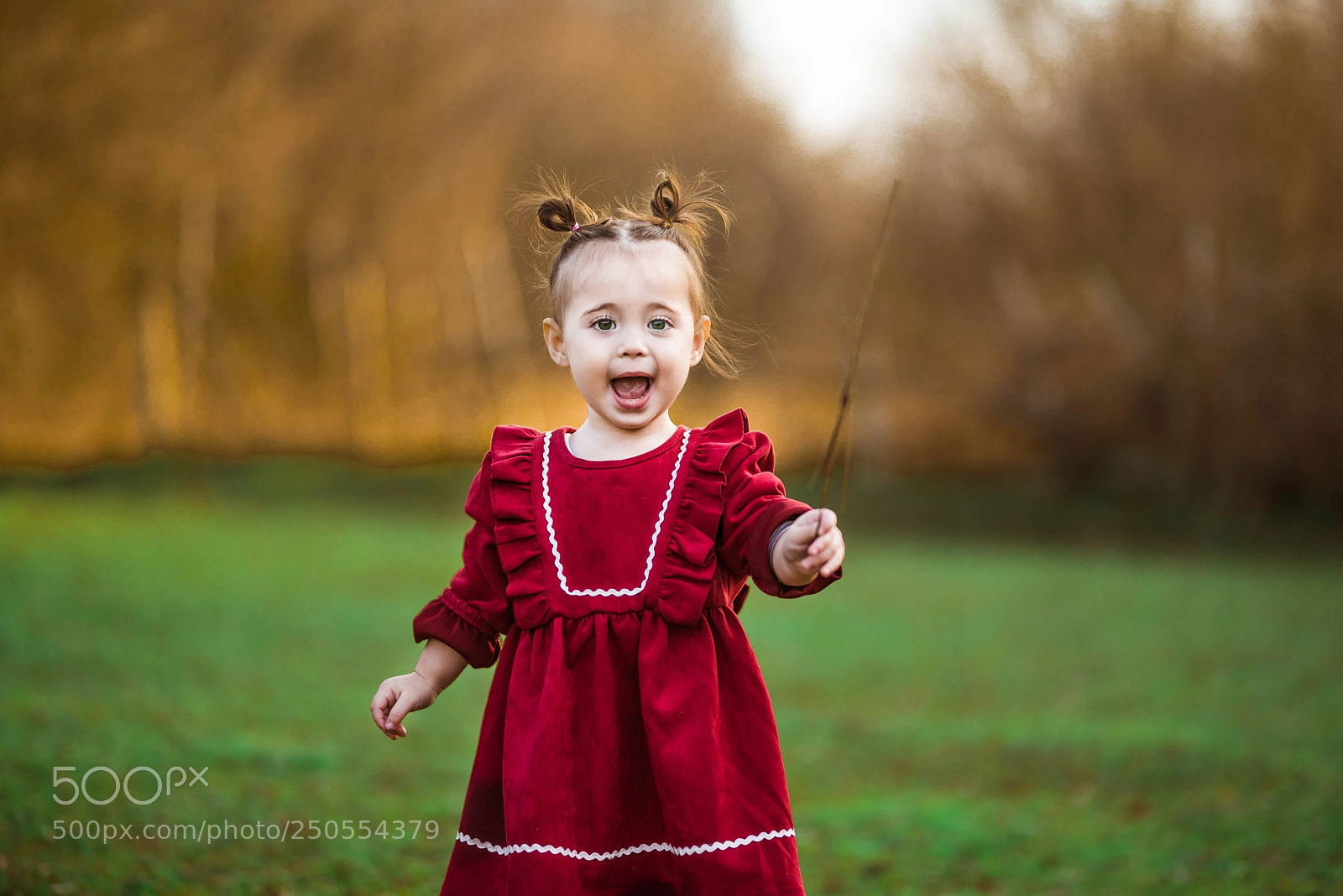 Nikon D810 sample photo. Nisa photography