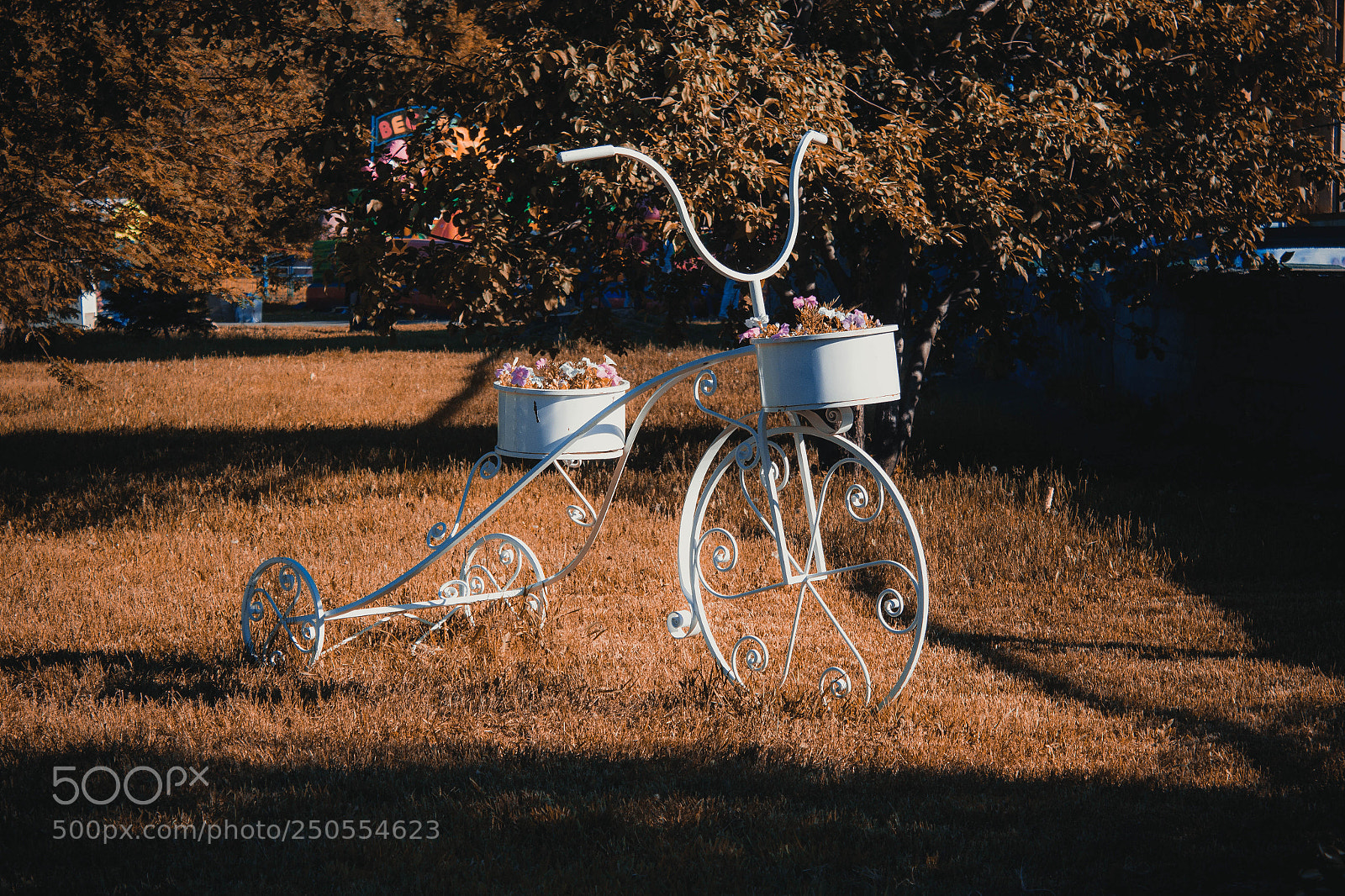 Canon EOS 60D sample photo. Что такое осень..... photography