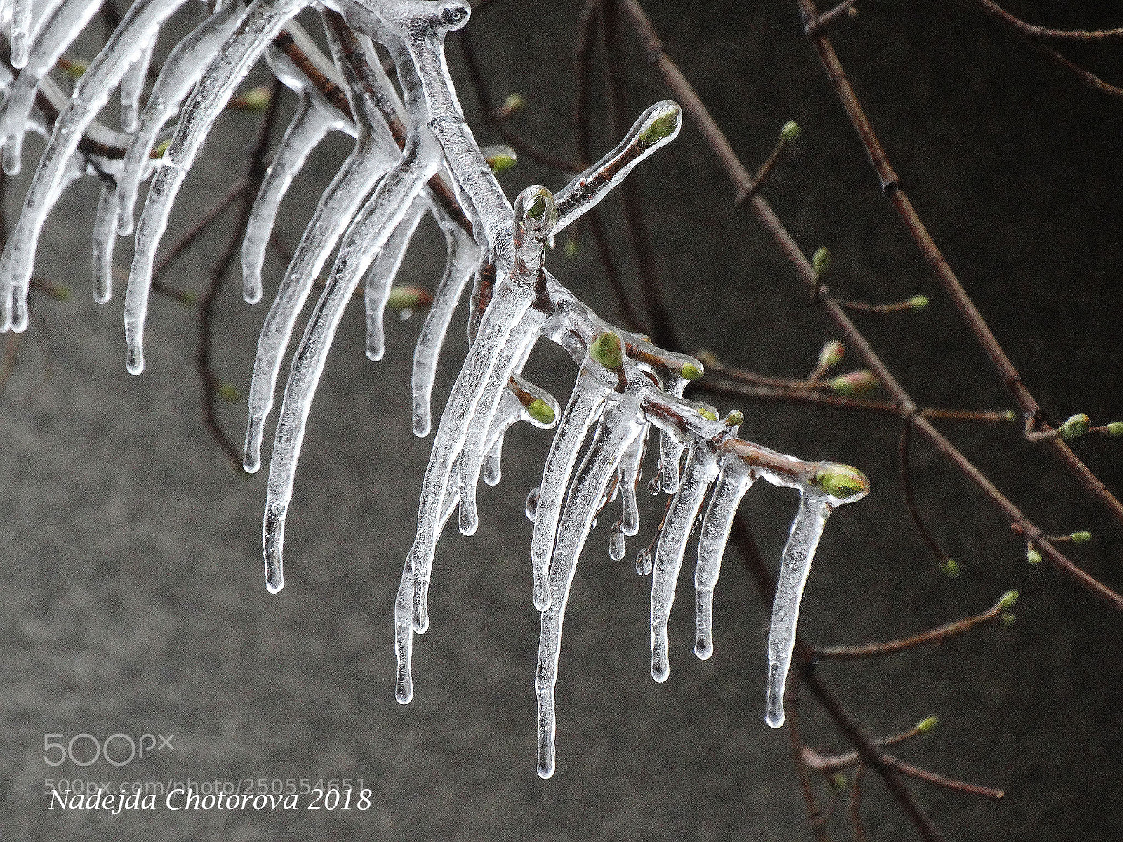 Sony Cyber-shot DSC-HX300 sample photo. Spring photography