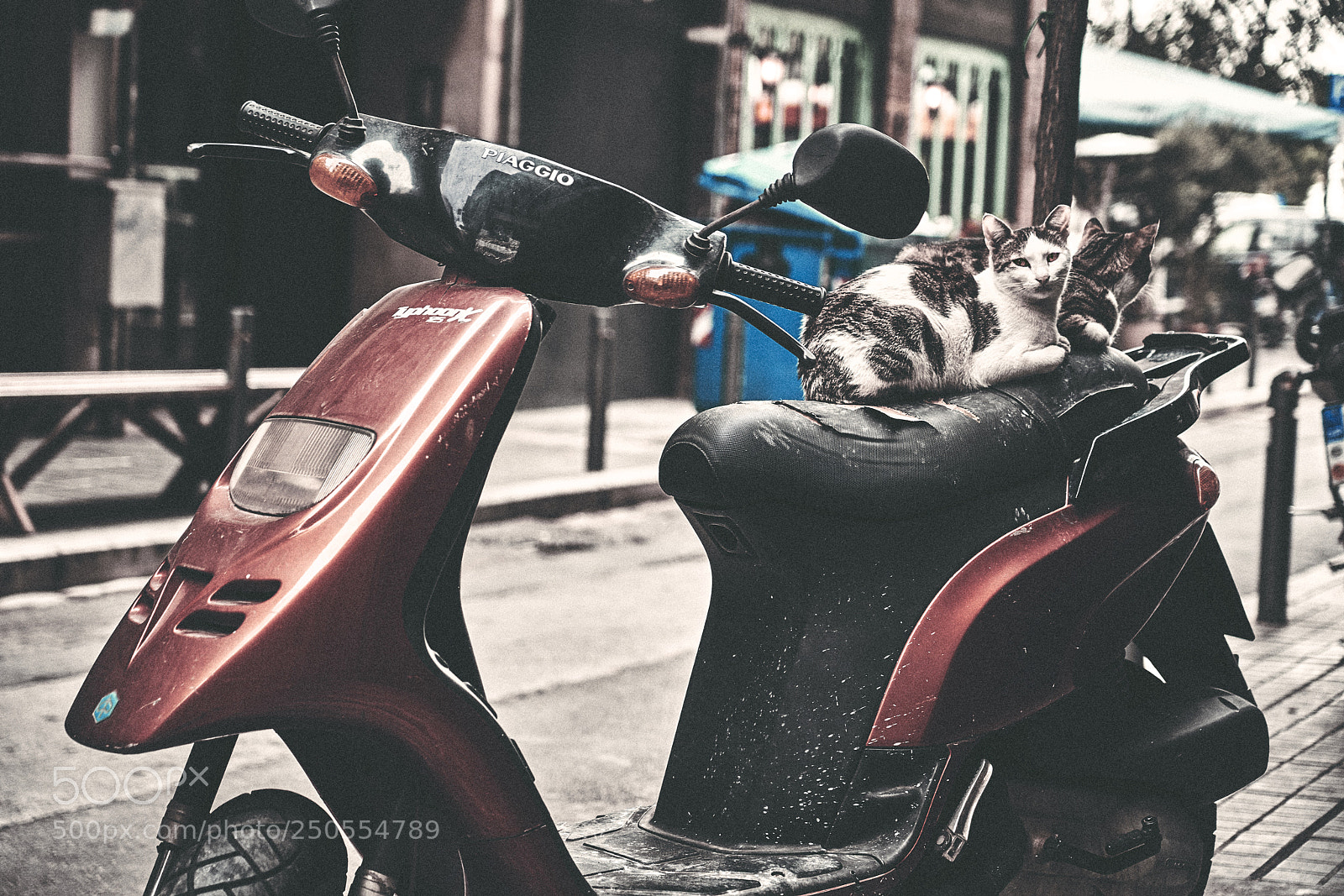 Sony a7R III sample photo. Γ Ά Τ Ε Σ photography
