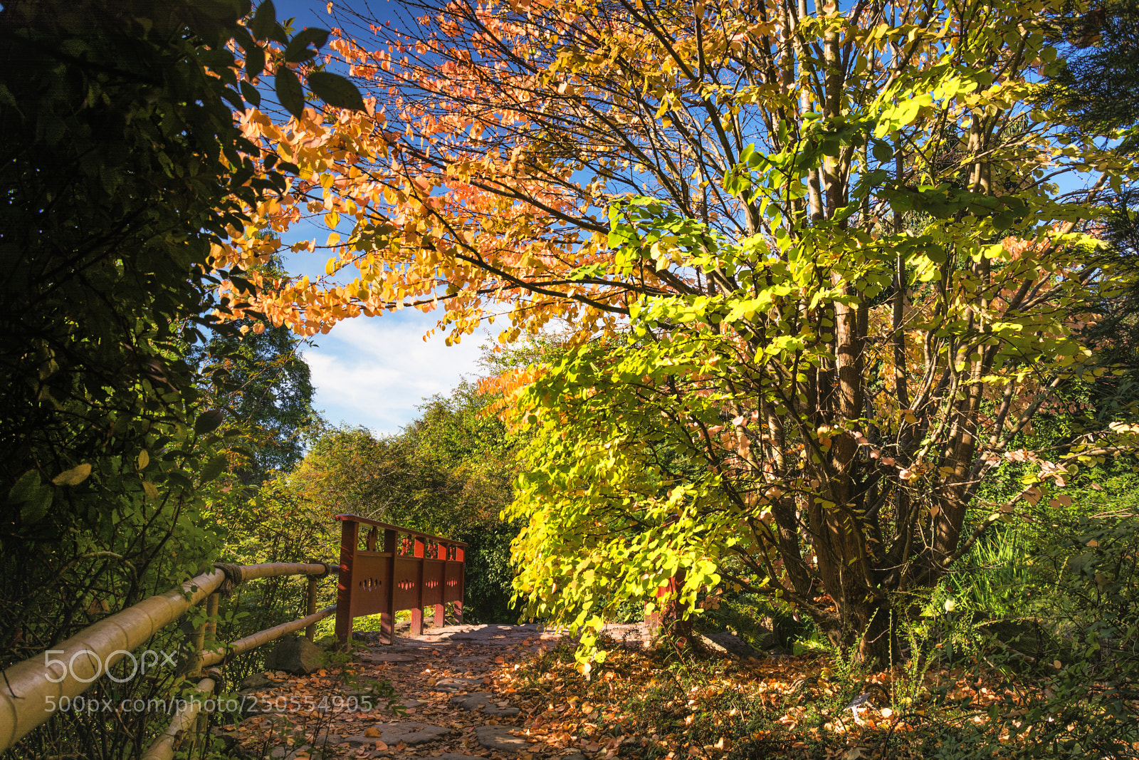Nikon D7100 sample photo. Untitled photography