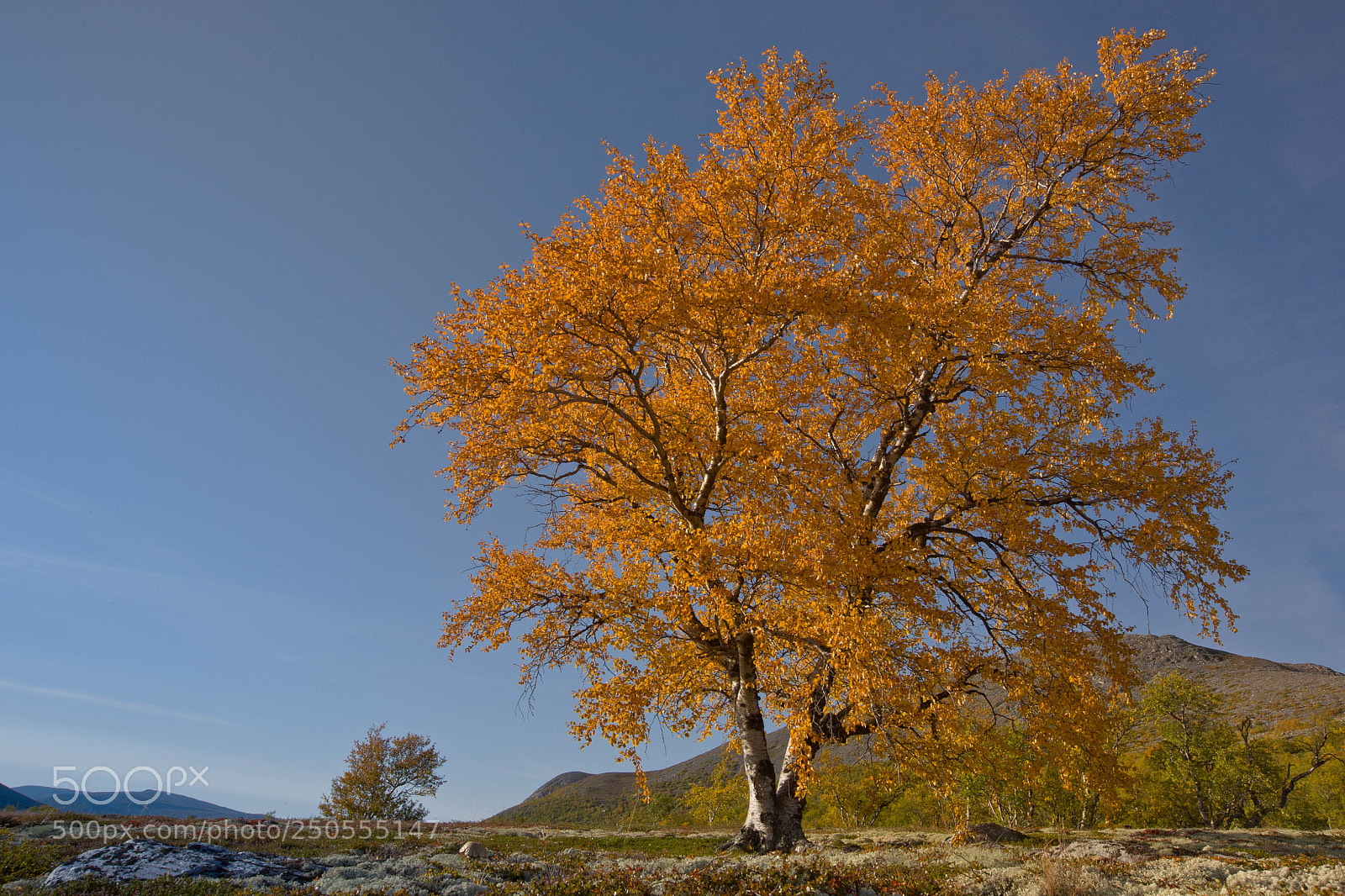 Canon EOS 5D sample photo. Week 13 - sunny photography