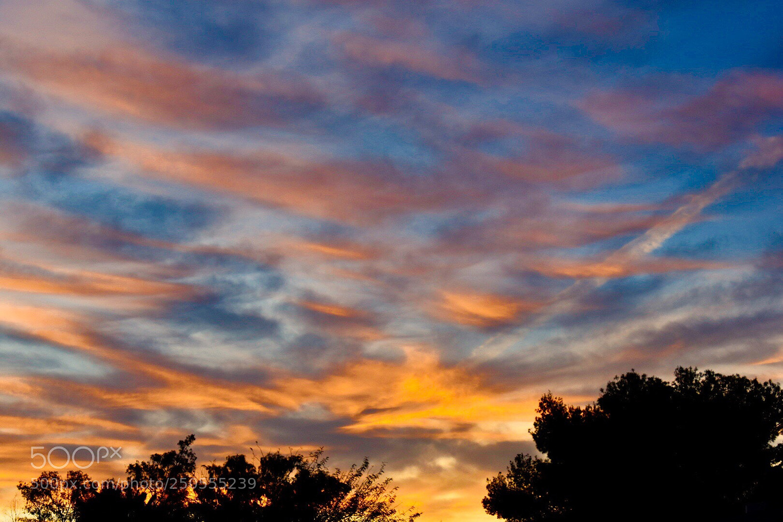 Nikon D3400 sample photo. Beautiful golden clouds photography
