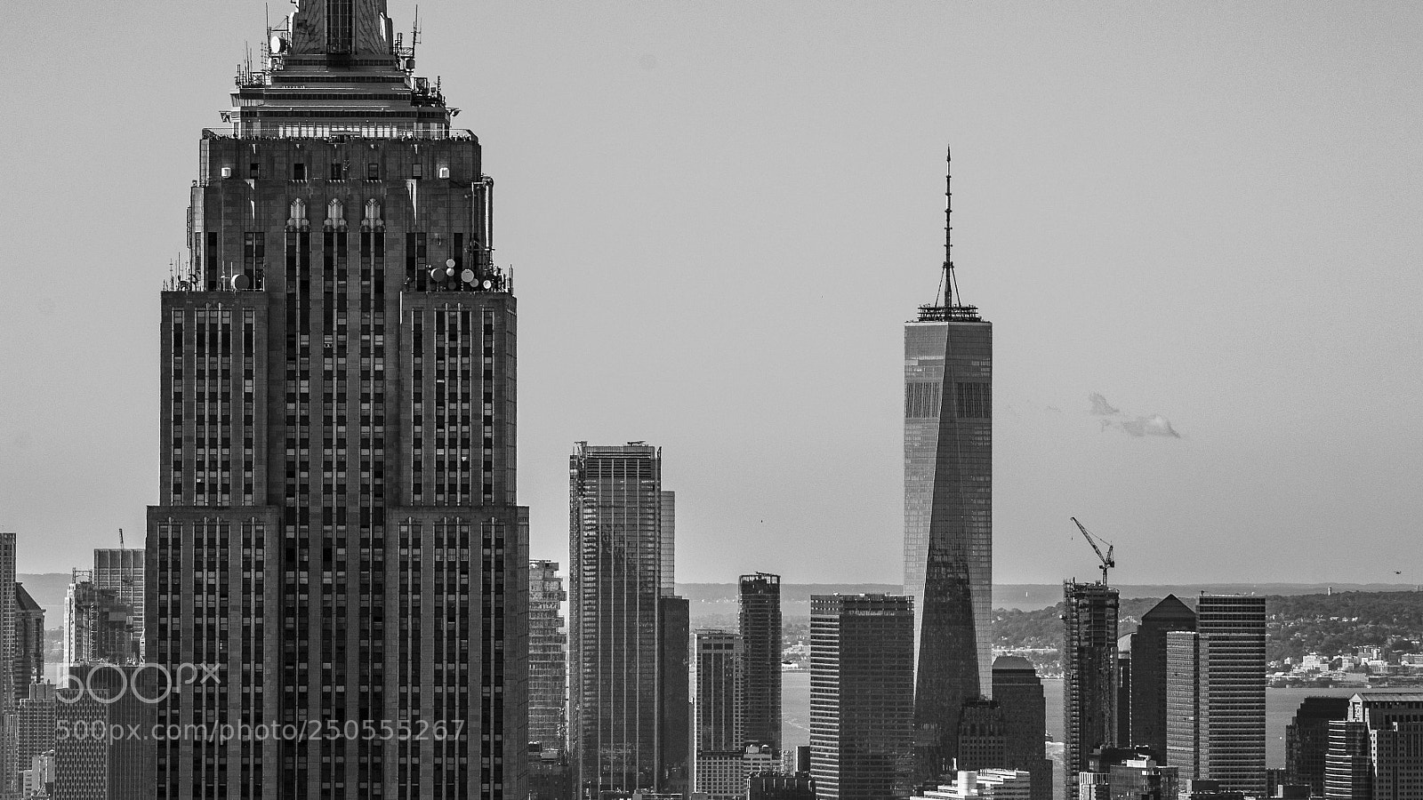 Nikon D3100 sample photo. Big ones photography