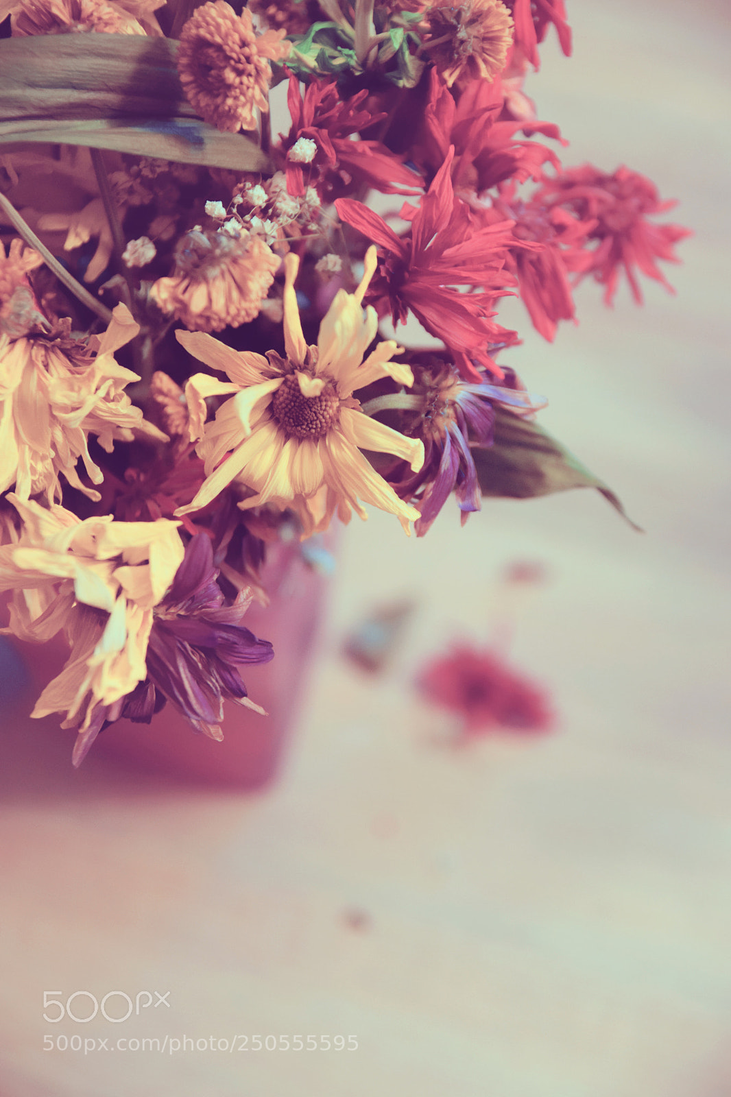 Nikon D5300 sample photo. Fading beauty photography