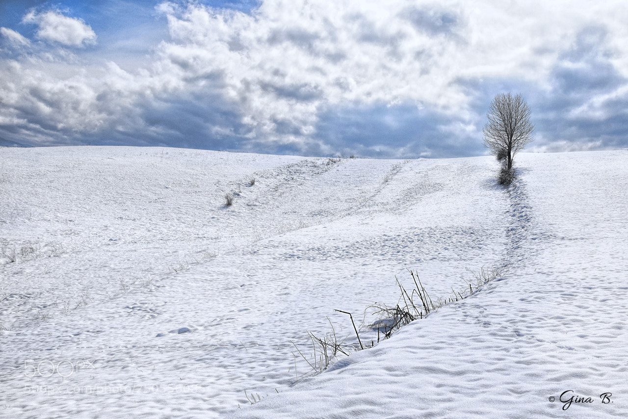 Nikon D3300 sample photo. Unusual march photography