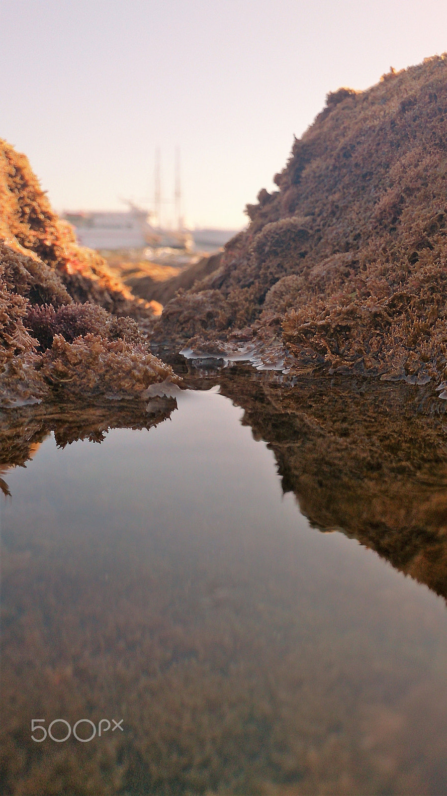 Sony Xperia Z sample photo. ... photography