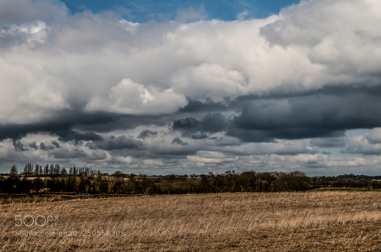 Canon EOS 70D sample photo. Dark clouds and brown photography