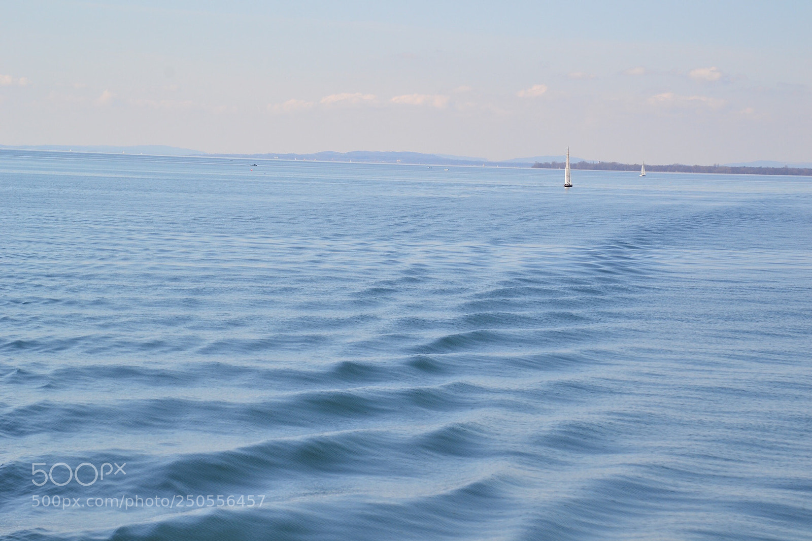 Nikon D3100 sample photo. Wellen photography