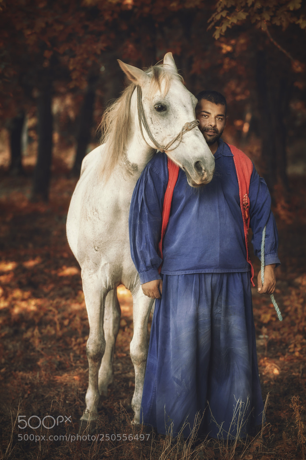 Nikon D7100 sample photo. Pista photography