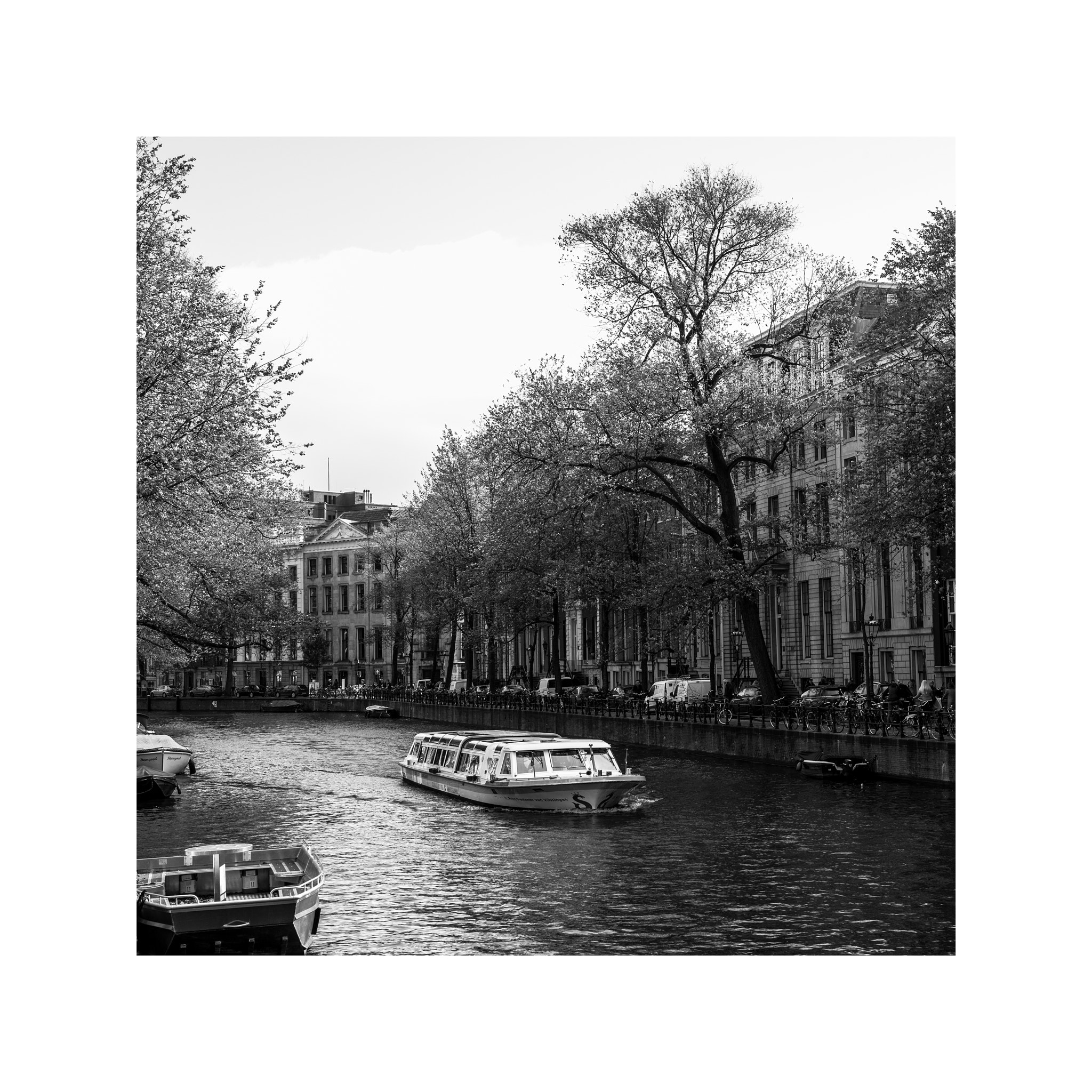 Leica M Monochrom (Typ 246) sample photo. Amsterdam photography