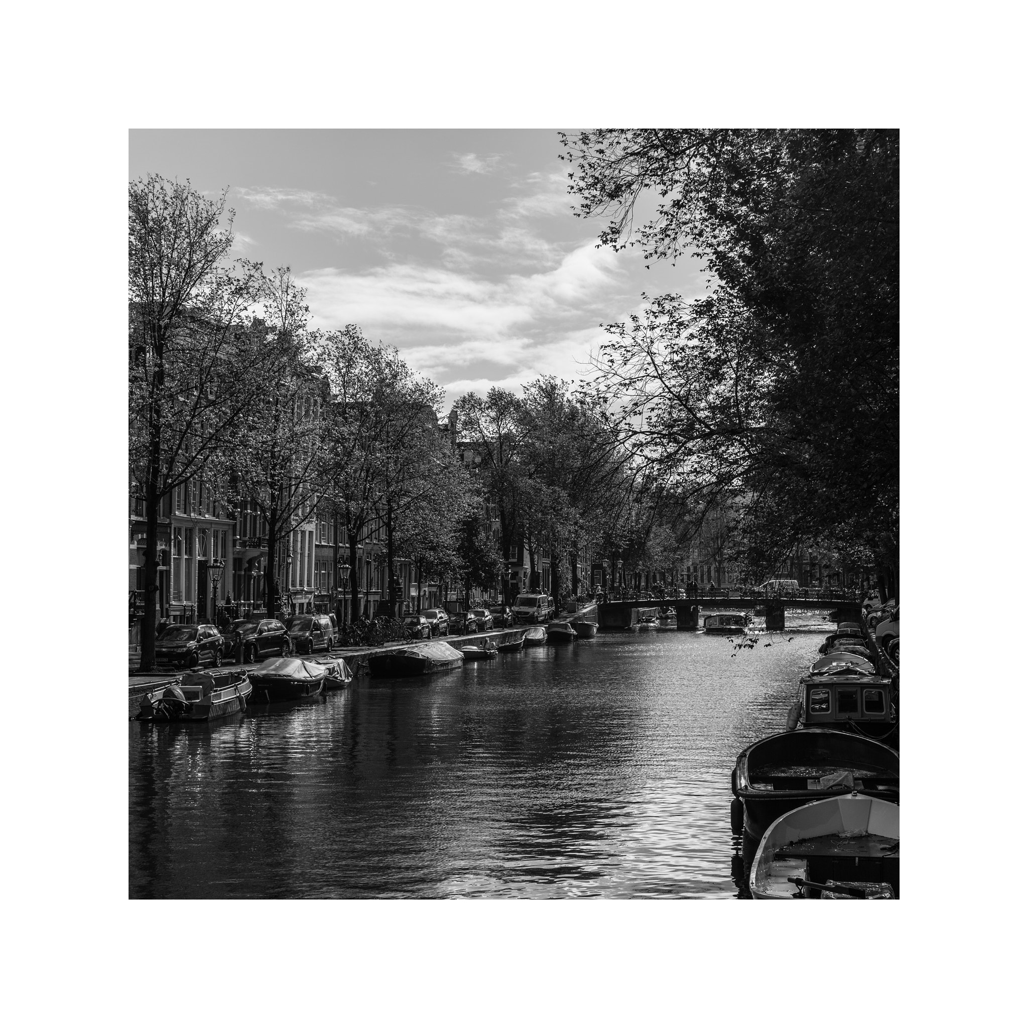 Leica M Monochrom (Typ 246) sample photo. Amsterdam photography