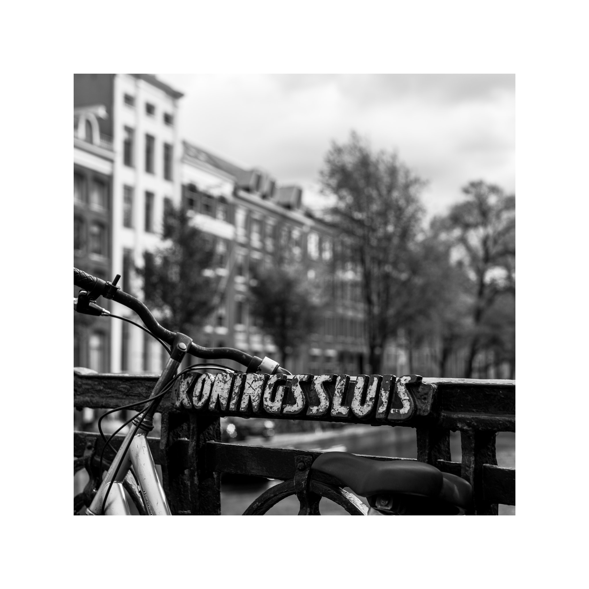 Leica M Monochrom (Typ 246) sample photo. Amsterdam photography