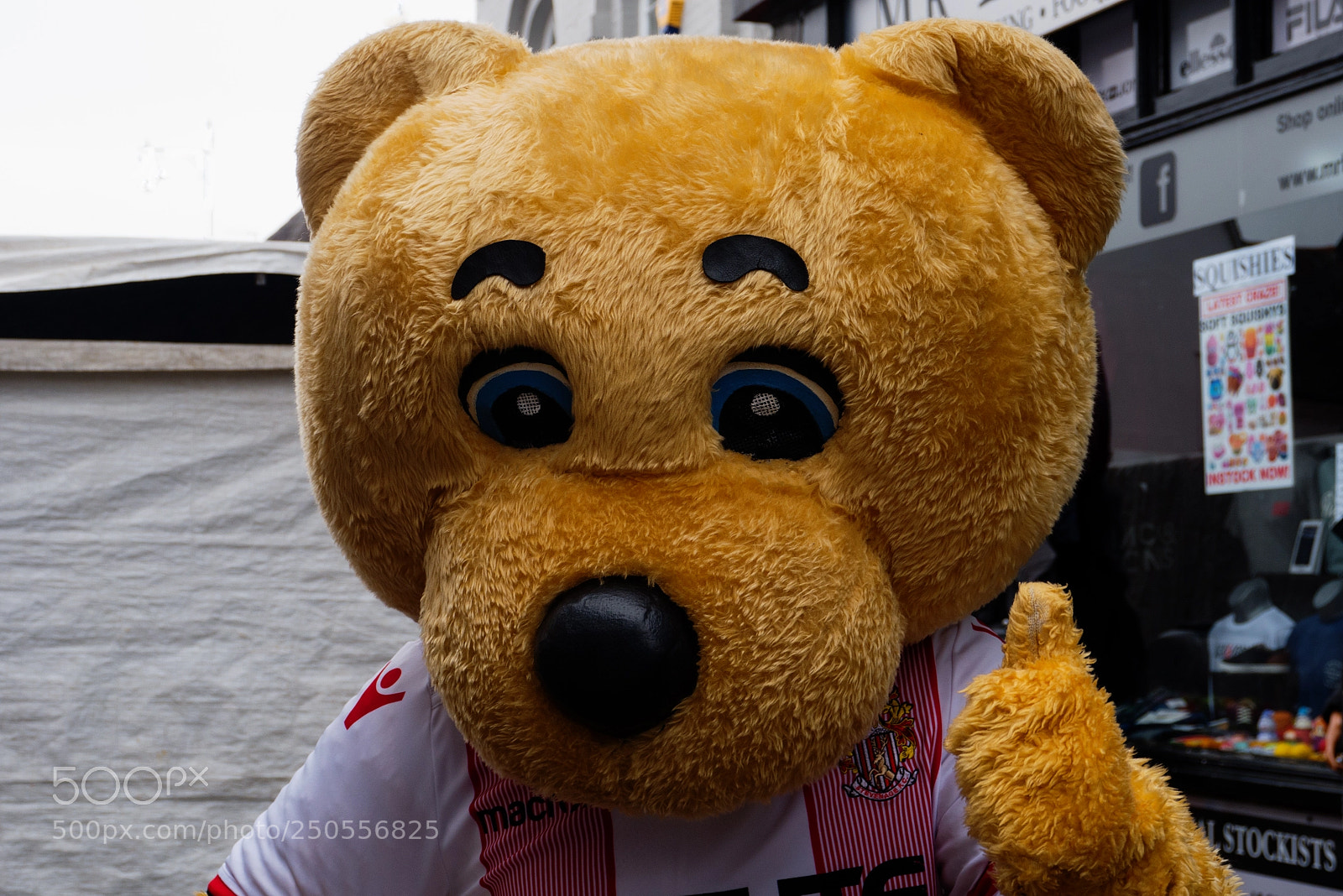 Panasonic Lumix DMC-GX7 sample photo. Boro bear stevenage borough photography
