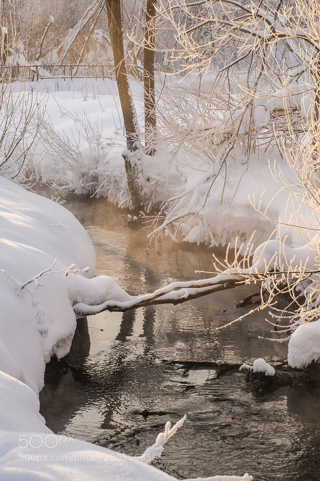 Nikon D700 sample photo. Речка Ивушка photography