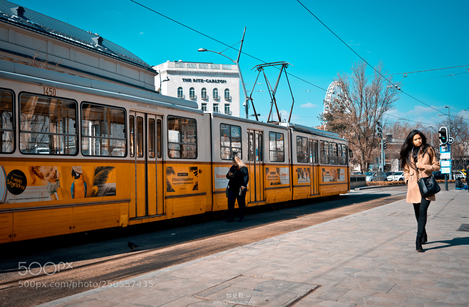 Sony a7R II sample photo. Bud photography