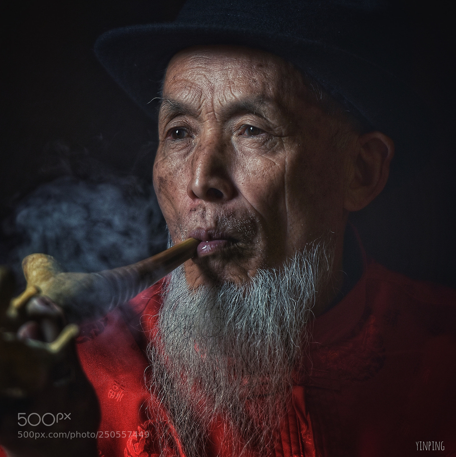 Nikon D5600 sample photo. 也许 photography
