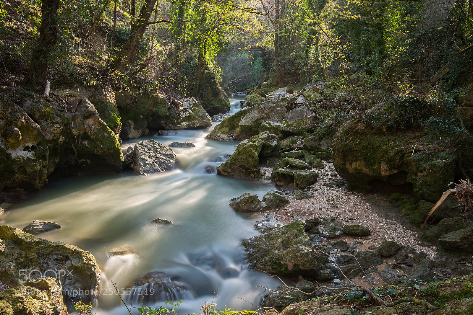 Nikon D500 sample photo. Fiume nera - terni photography