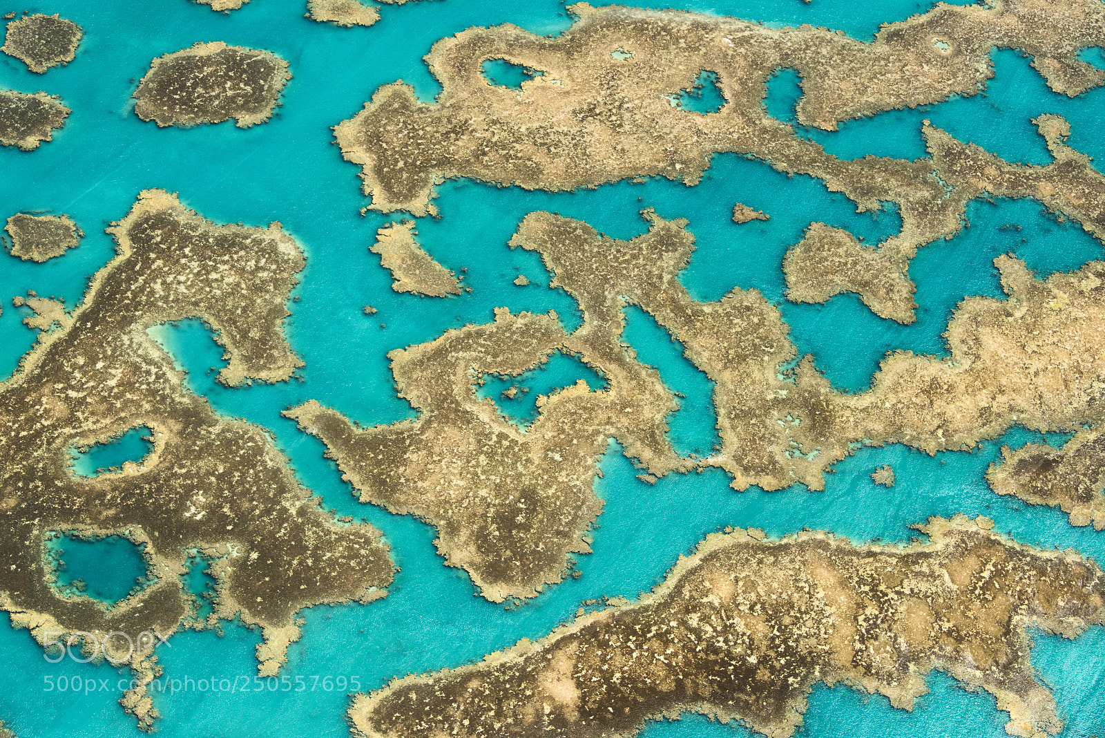 Nikon D810 sample photo. Corumbau, bahia photography
