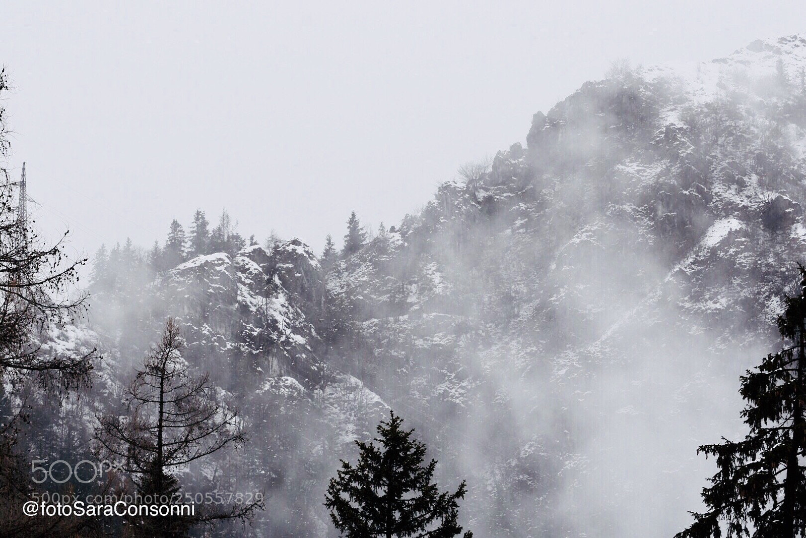Nikon D7200 sample photo. Nebbia in montagna photography