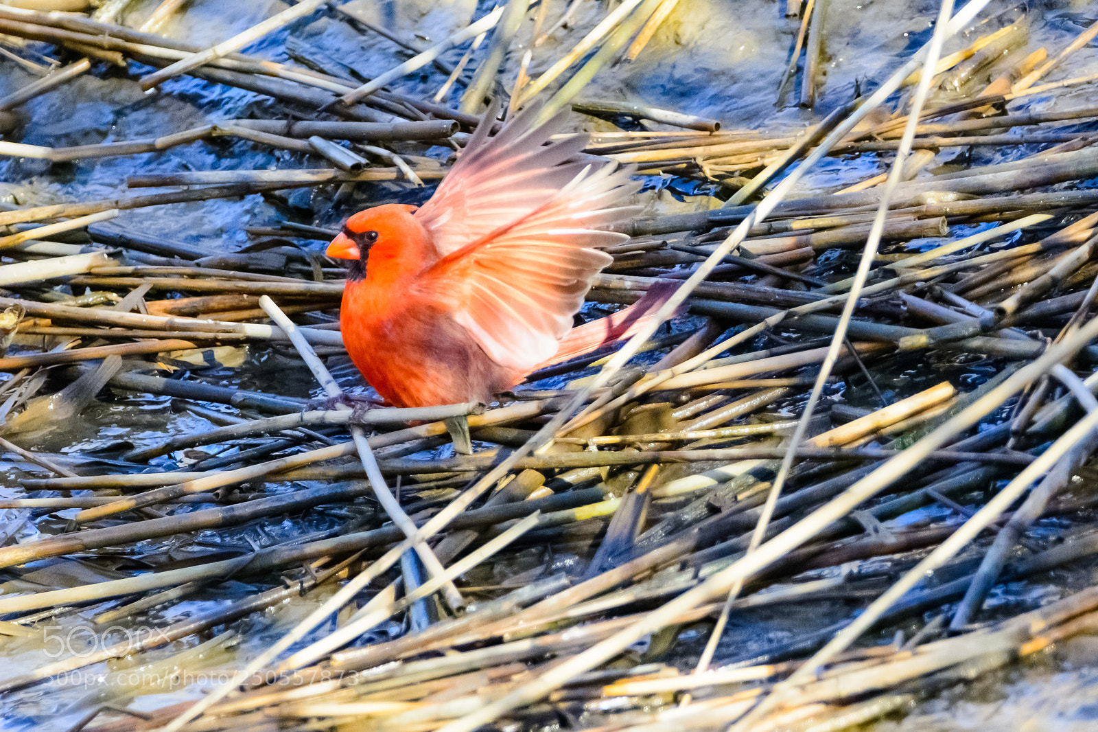 Nikon D7100 sample photo. Landing pad photography