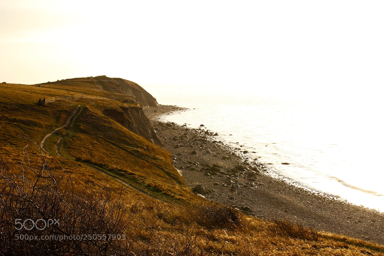 Canon EOS 600D (Rebel EOS T3i / EOS Kiss X5) sample photo. Fyns hovede photography