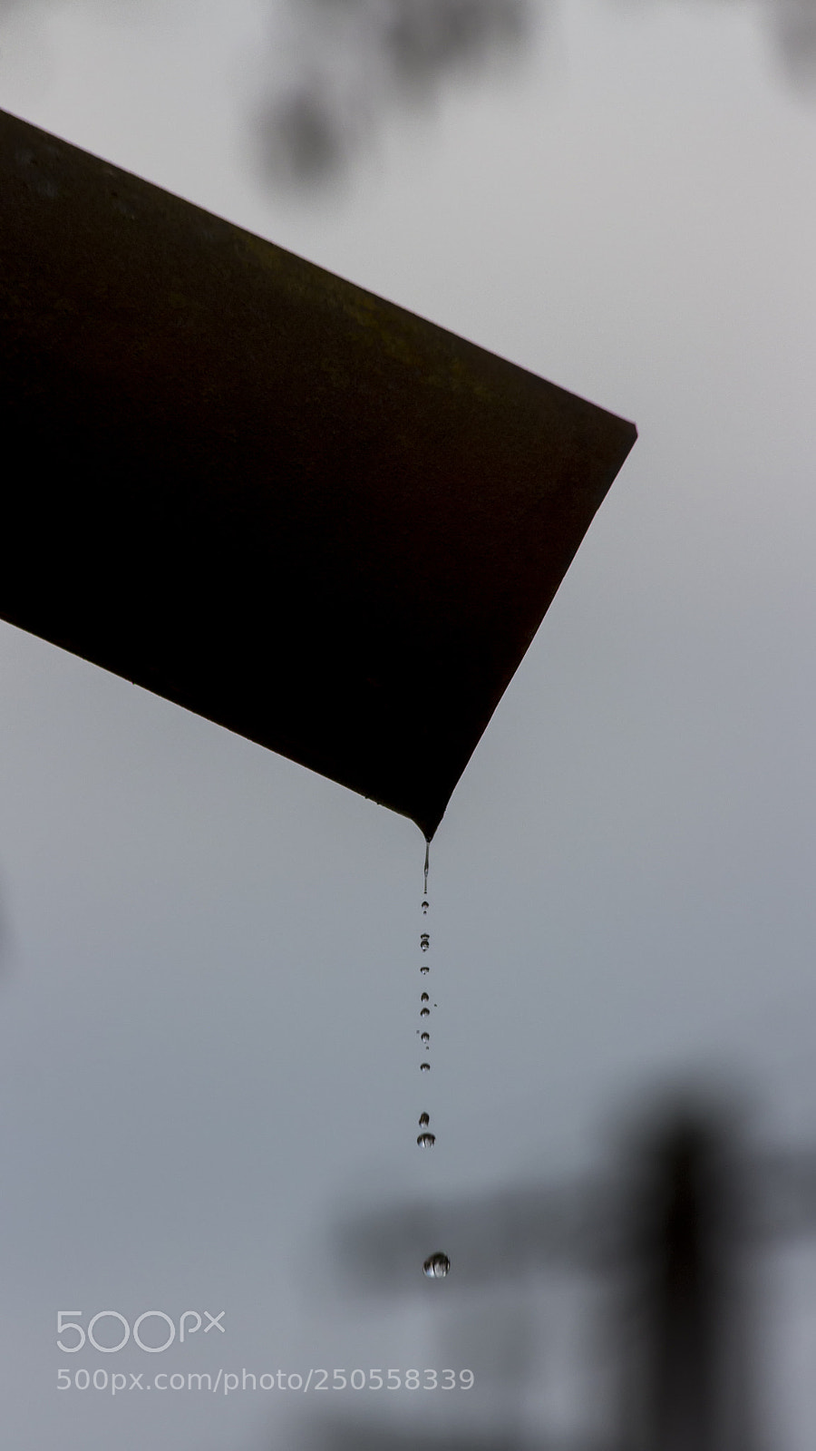 Canon EOS 700D (EOS Rebel T5i / EOS Kiss X7i) sample photo. The water of life photography