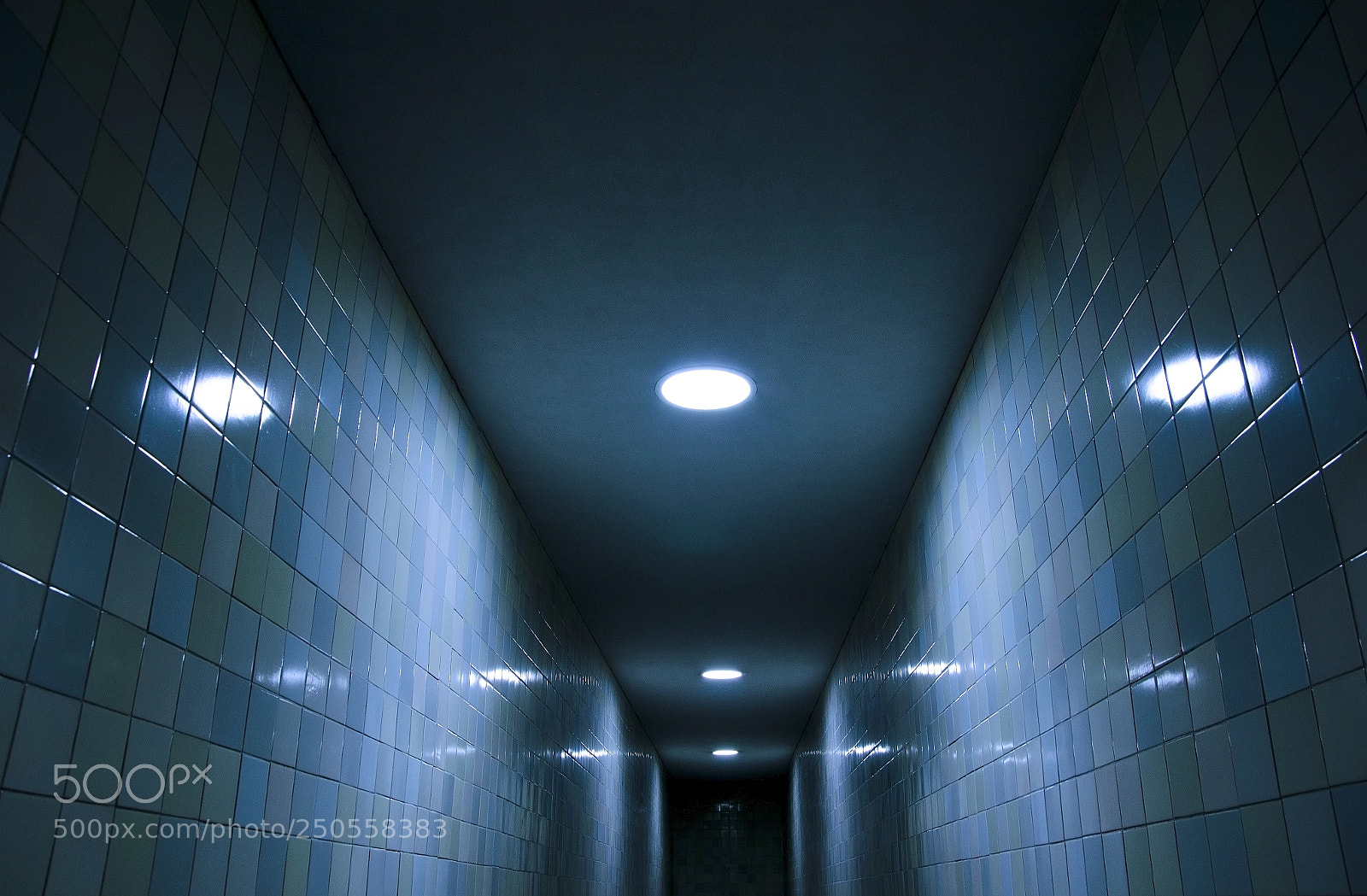 Nikon D5100 sample photo. Mysterious light photography