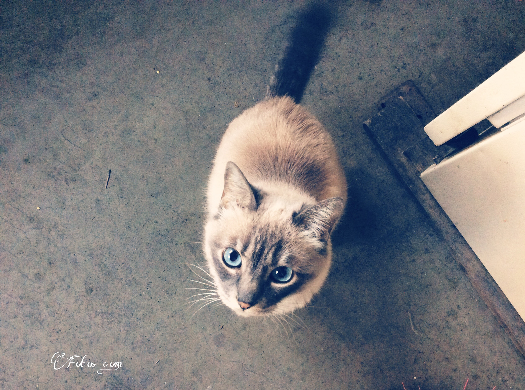 Apple iPad Air sample photo