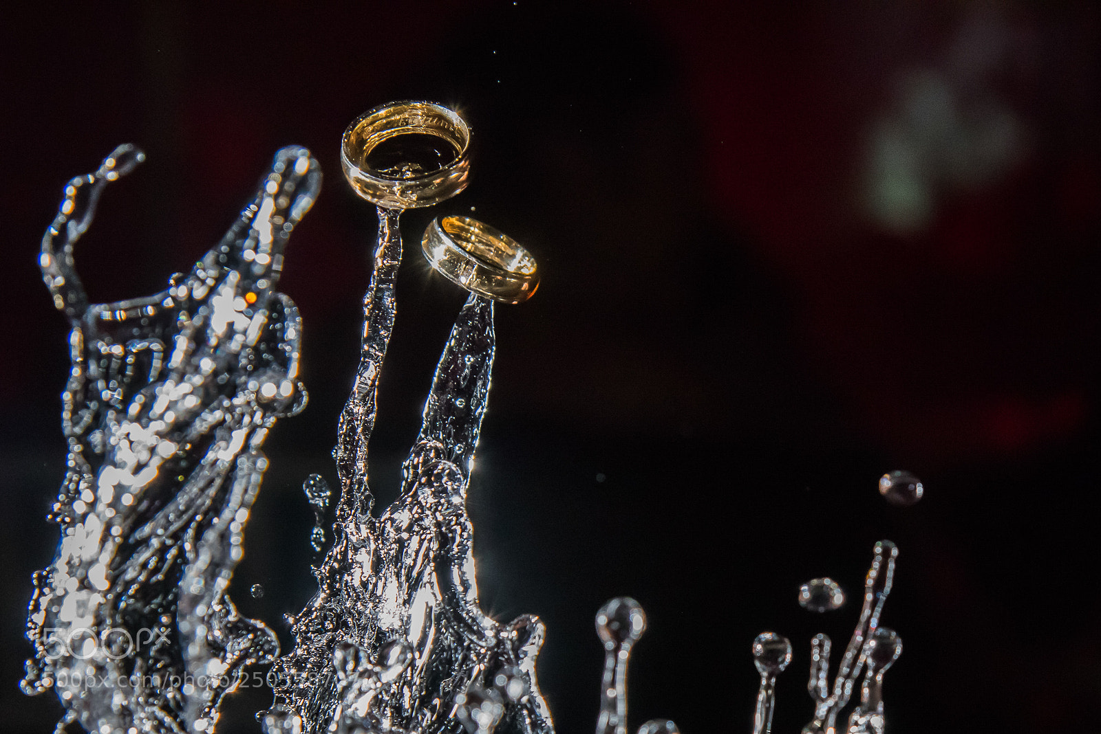 Nikon D810 sample photo. Alliance photography
