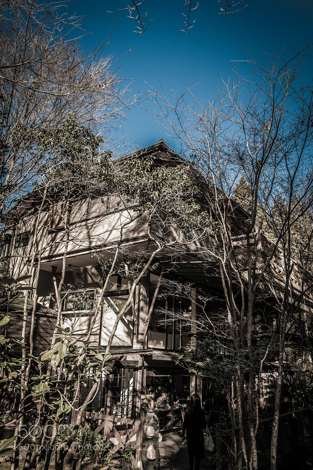 Canon EOS 70D sample photo. Ryoan photography