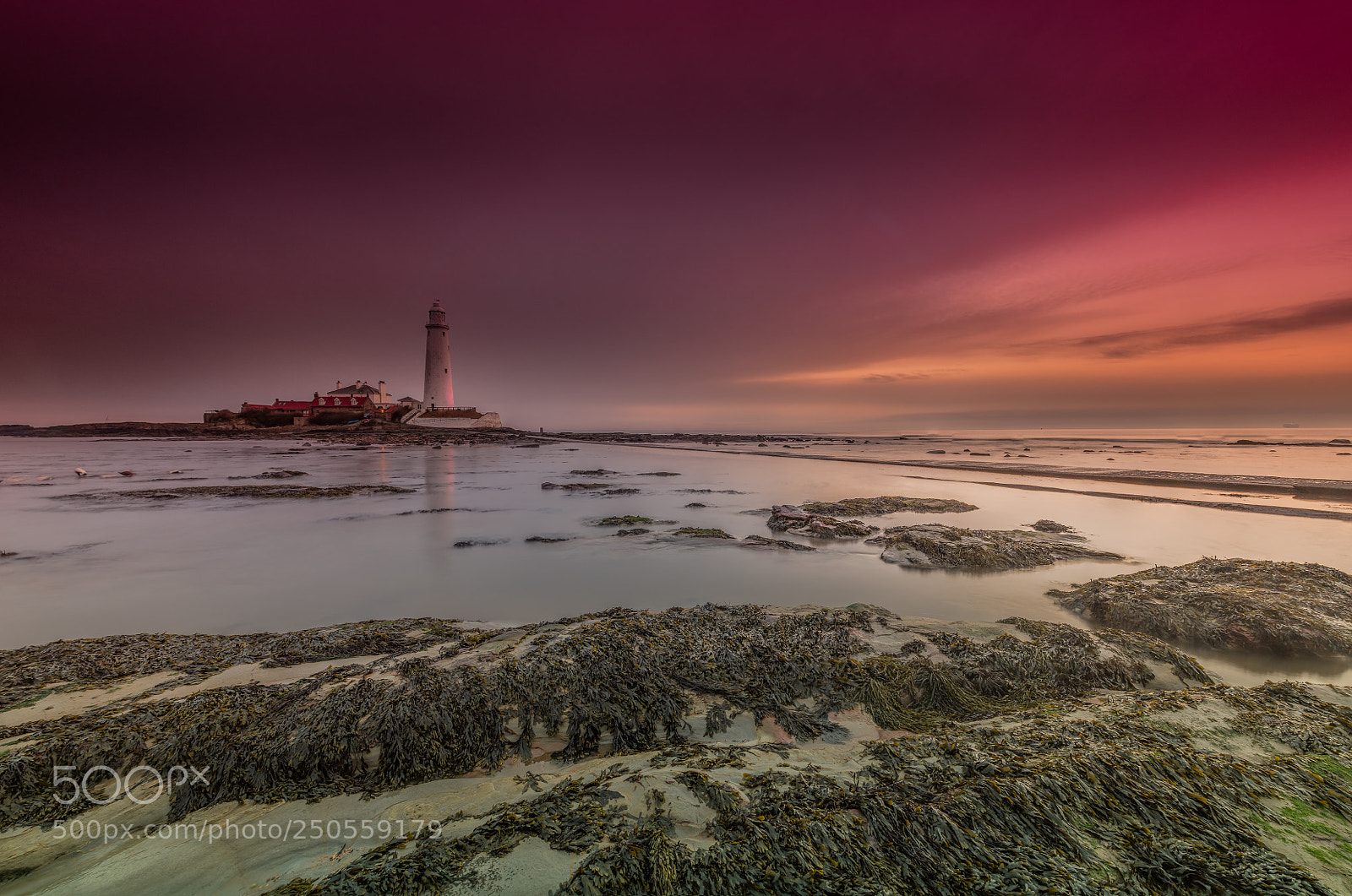 Nikon D850 sample photo. St mary's island photography