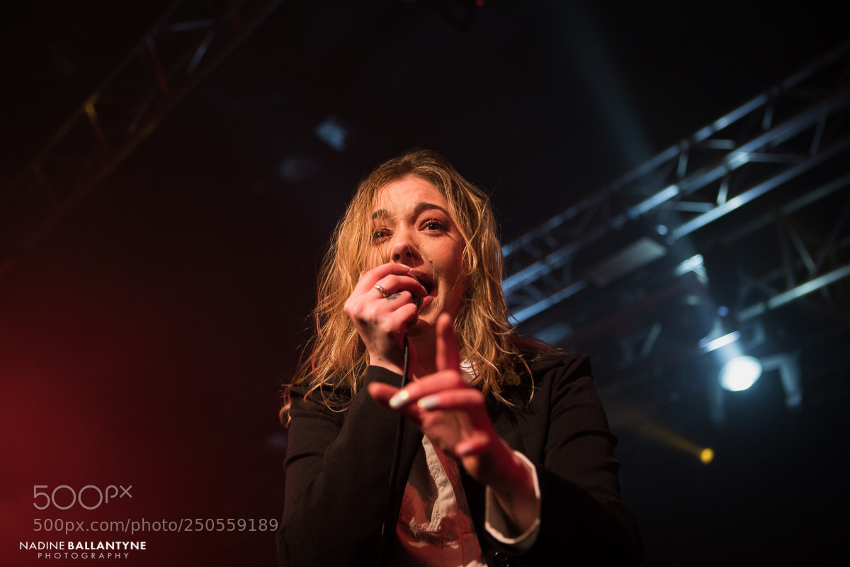 Canon EOS 5D Mark IV sample photo. Marmozets photography