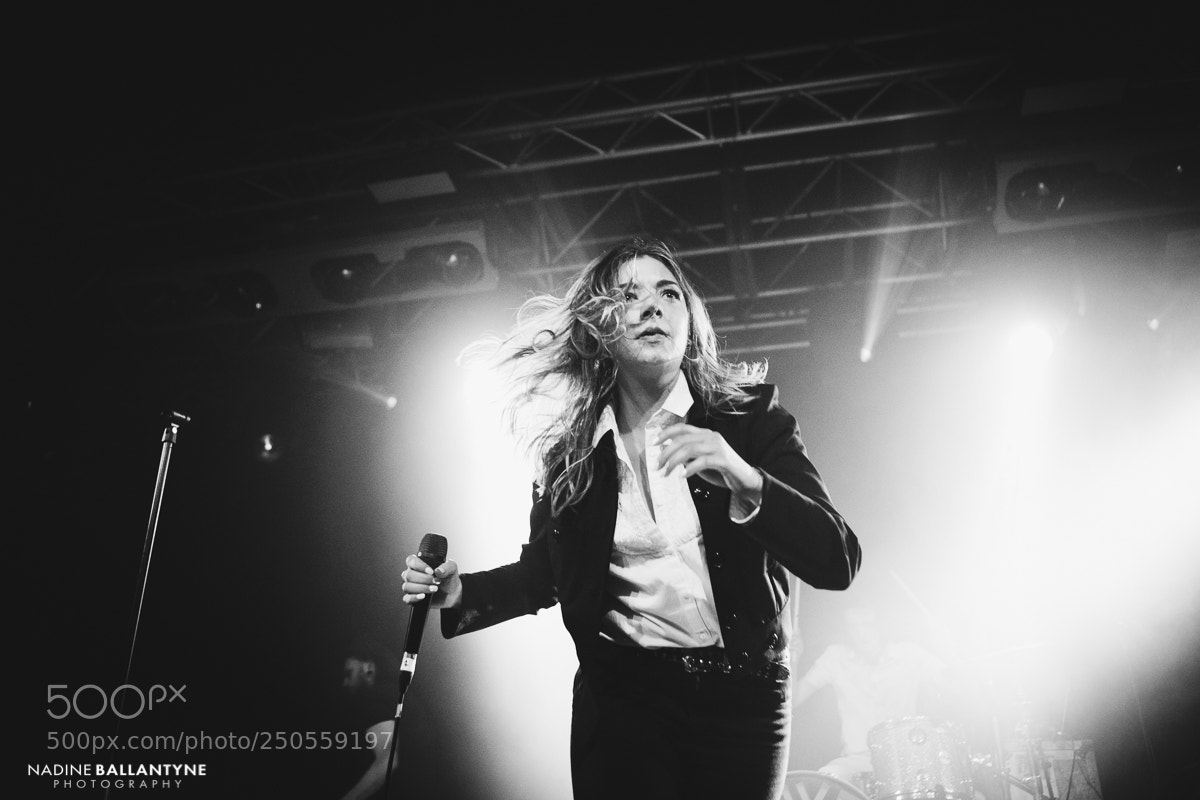 Canon EOS 5D Mark IV sample photo. Marmozets photography