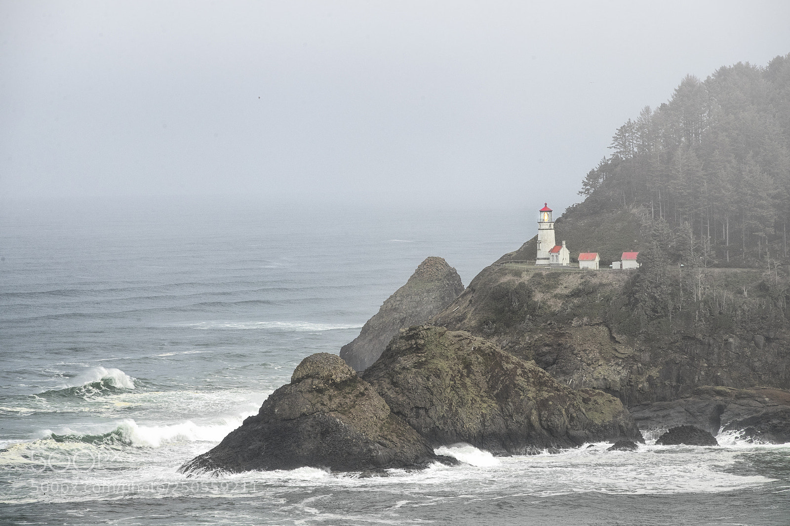 Canon EOS-1D X Mark II sample photo. Heceta head lighthouse photography