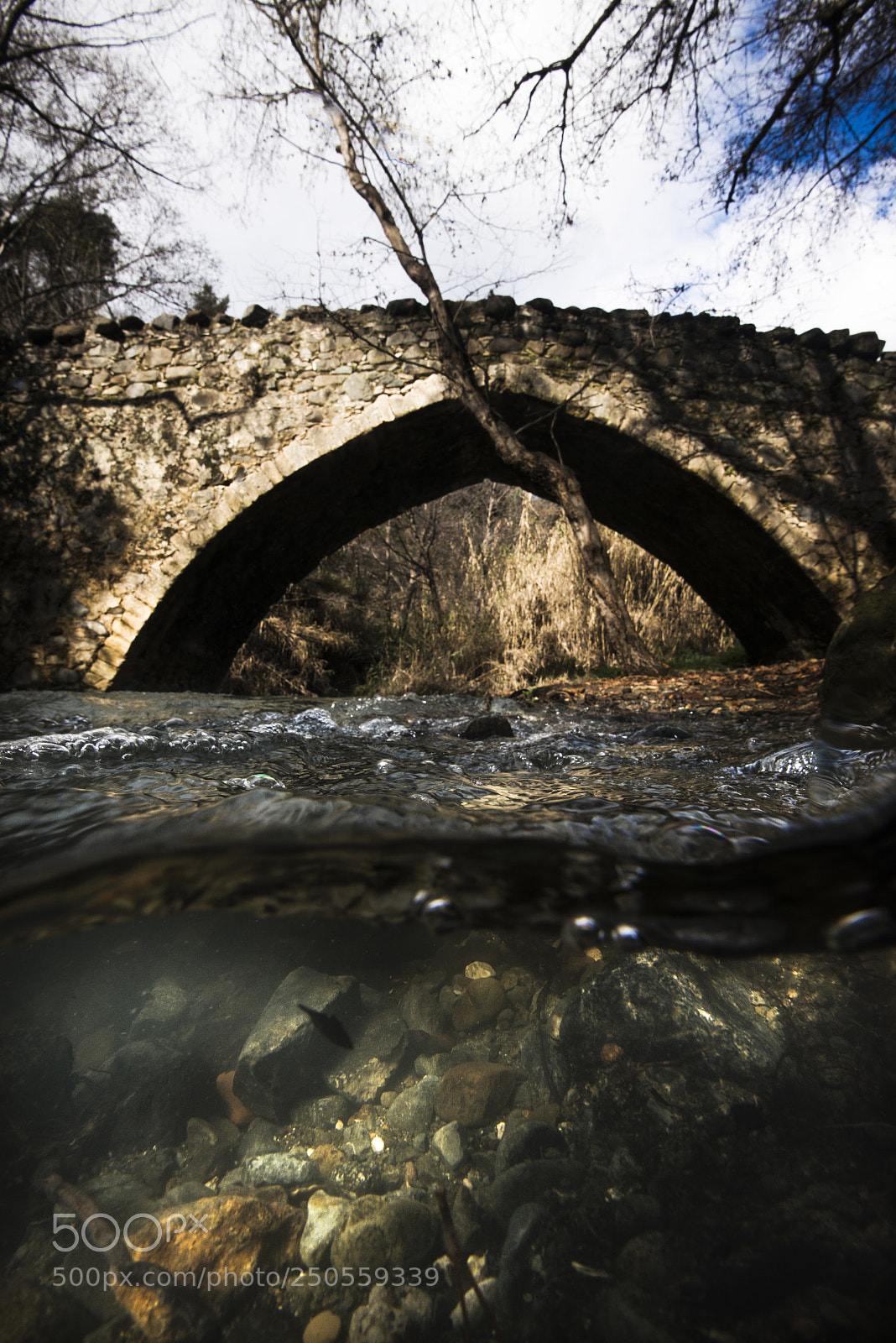 Nikon D800E sample photo. Underwater the enetic bridge photography