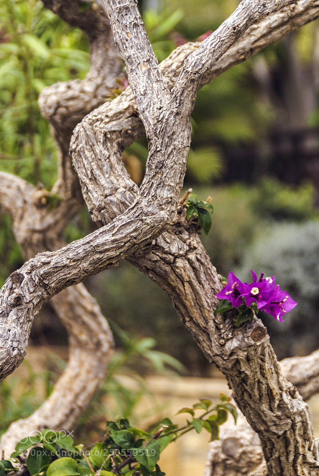 Nikon D3100 sample photo. Limassol, cyprus photography