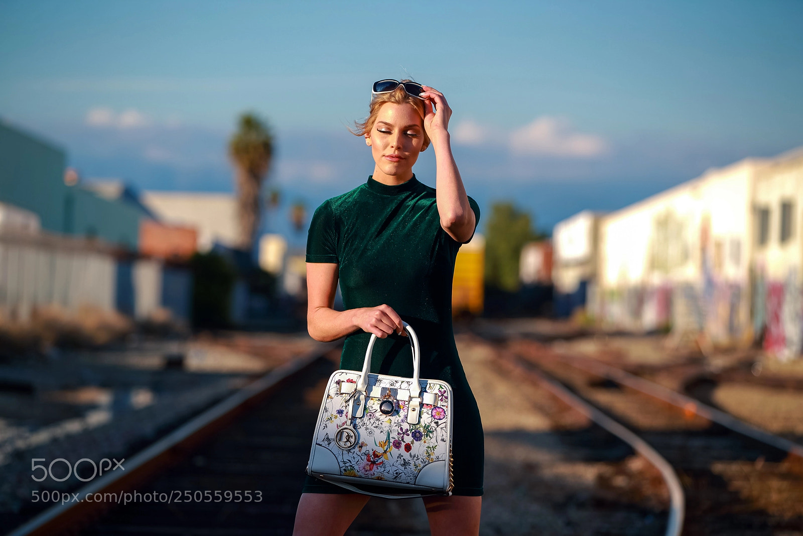 Canon EOS-1D X sample photo. Hq photography