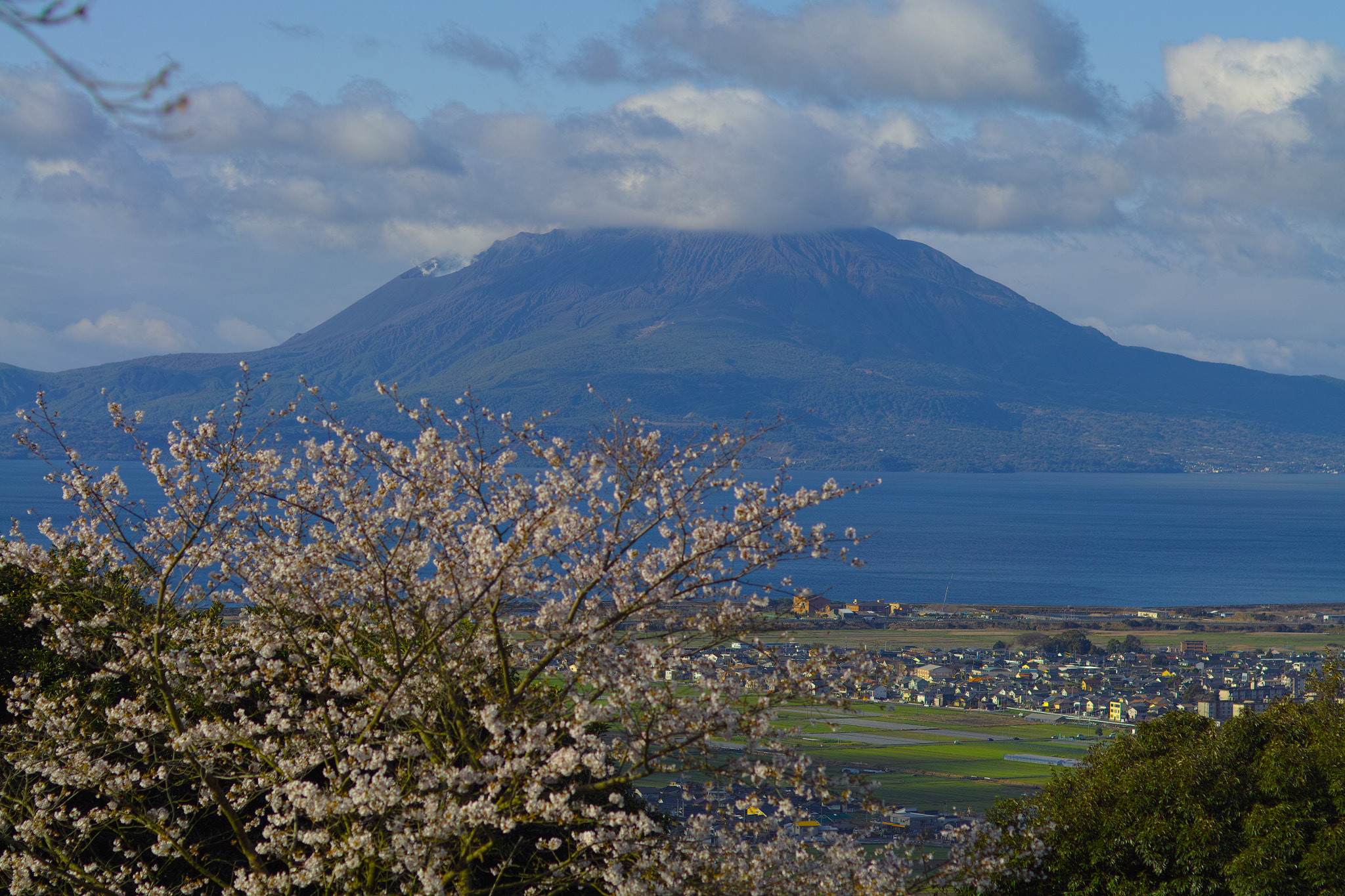 Sigma SD1 Merrill sample photo. Sakurajima photography