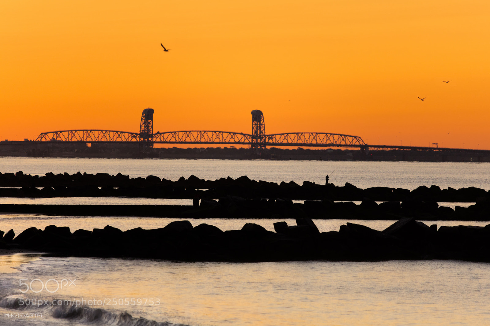 Canon EOS 5DS R sample photo. Untitled photography