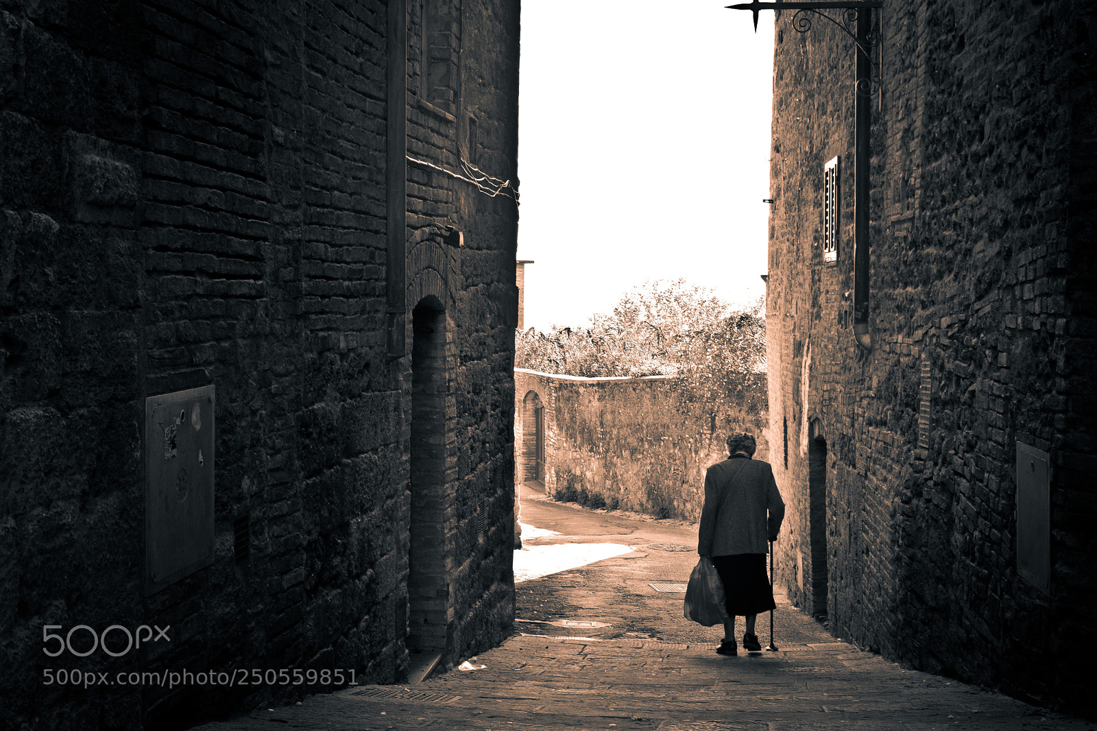 Nikon D5300 sample photo. The walk home photography