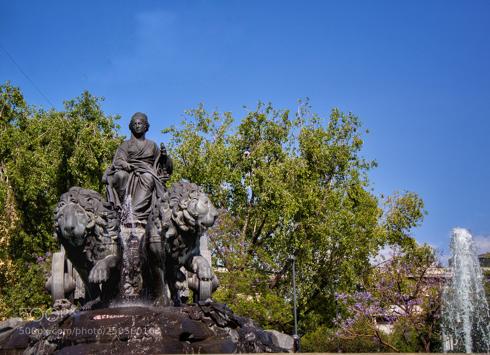 Canon EOS 1300D (EOS Rebel T6 / EOS Kiss X80) sample photo. Ride to victory photography