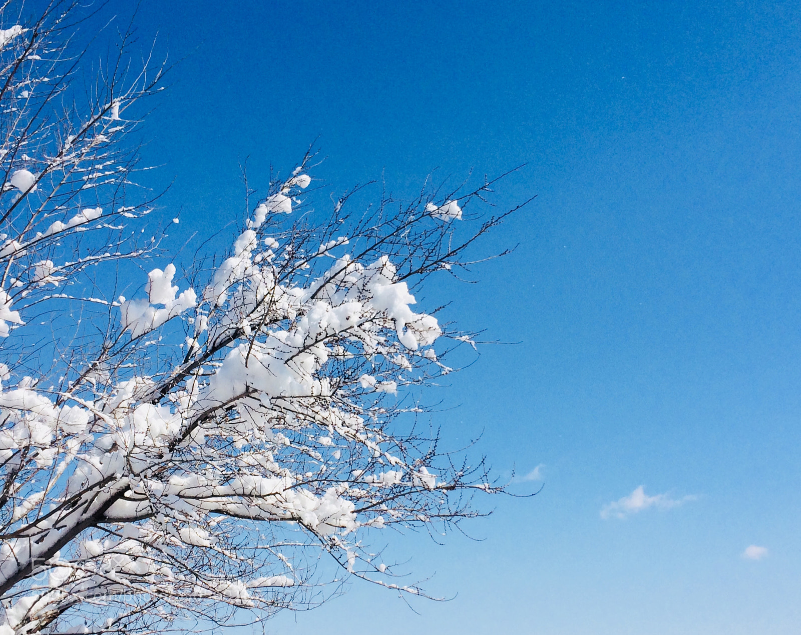 Apple iPhone 5s sample photo. Snow photography