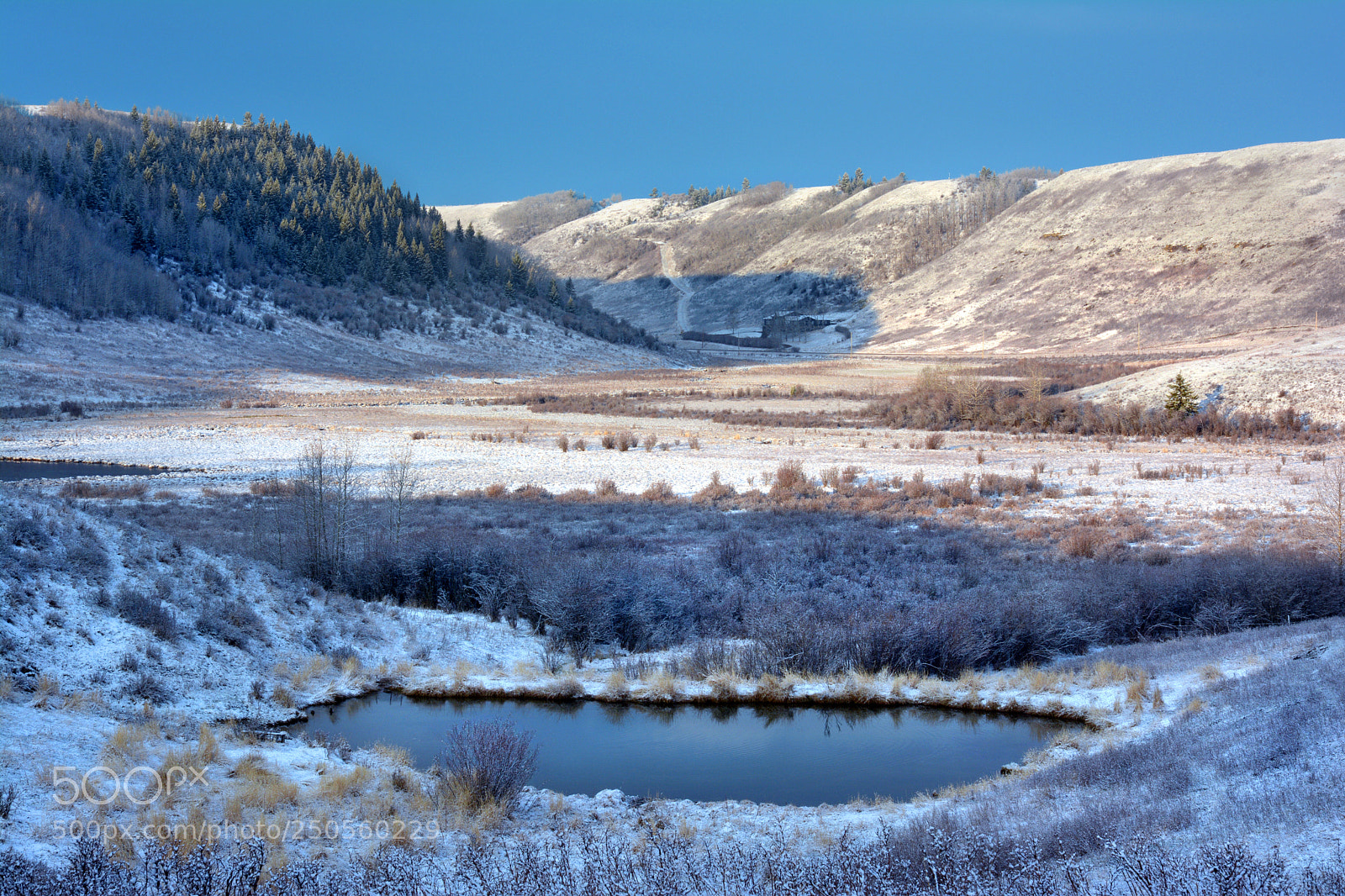 Nikon D7100 sample photo. Spring snow photography