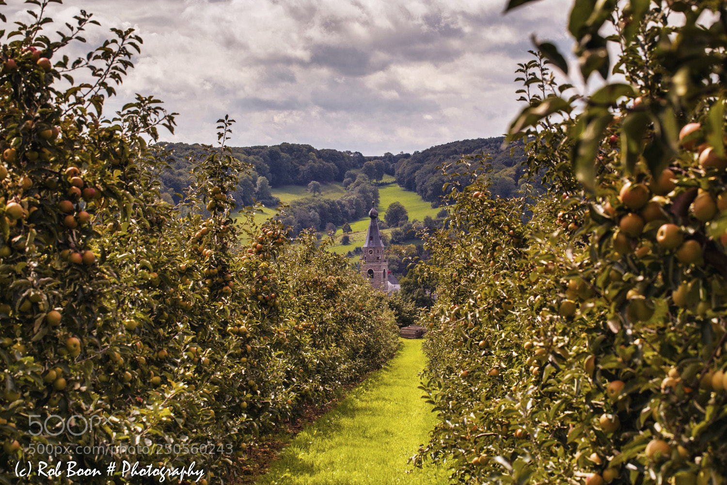 Canon EOS 5D Mark II sample photo. Plantation @ wijlre photography