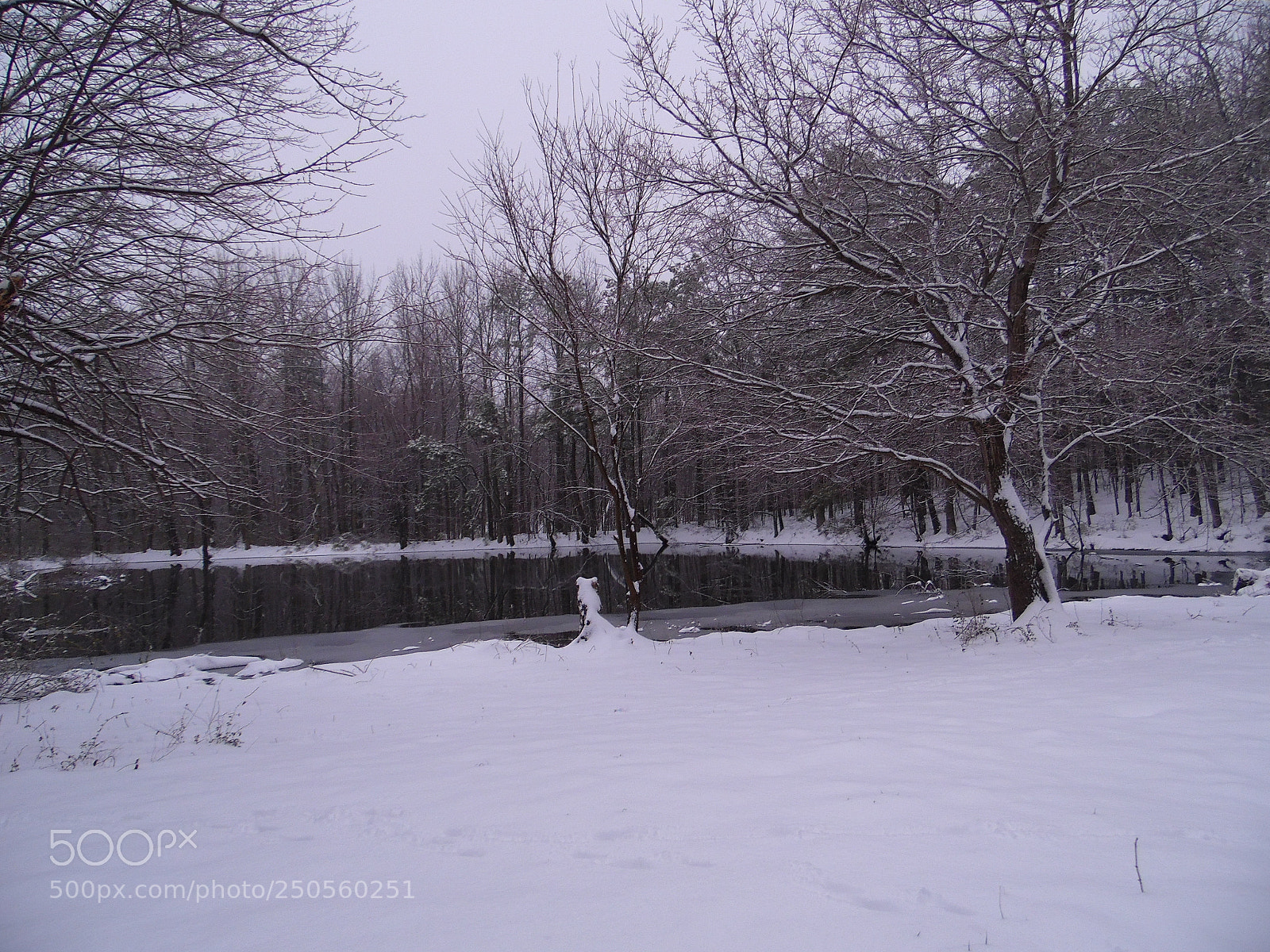 Samsung WB1100F/WB1101F/WB1102F sample photo. Snow photography